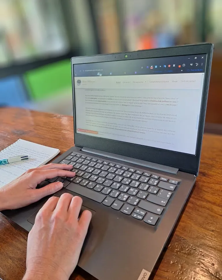 Consultation psychothérapie en ligne Laura Pellevoizin