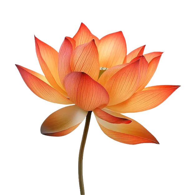 Laura Pellevoizin cabinet psychothérapie